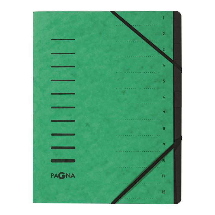 Pagna 40059 03 Teczka segregująca 12 częściowa, preszpanowa zielona